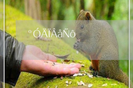 长兴长兴的要账公司在催收过程中的策略和技巧有哪些？