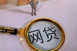 长兴为什么选择专业追讨公司来处理您的债务纠纷？